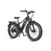 Dirwin Seeker Fat Tire Electric Bike - Vforce Wheels
